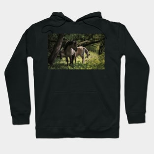 Off the beaten track Hoodie